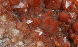 Natural, Red Quartz Cluster - Morocco #57092-1